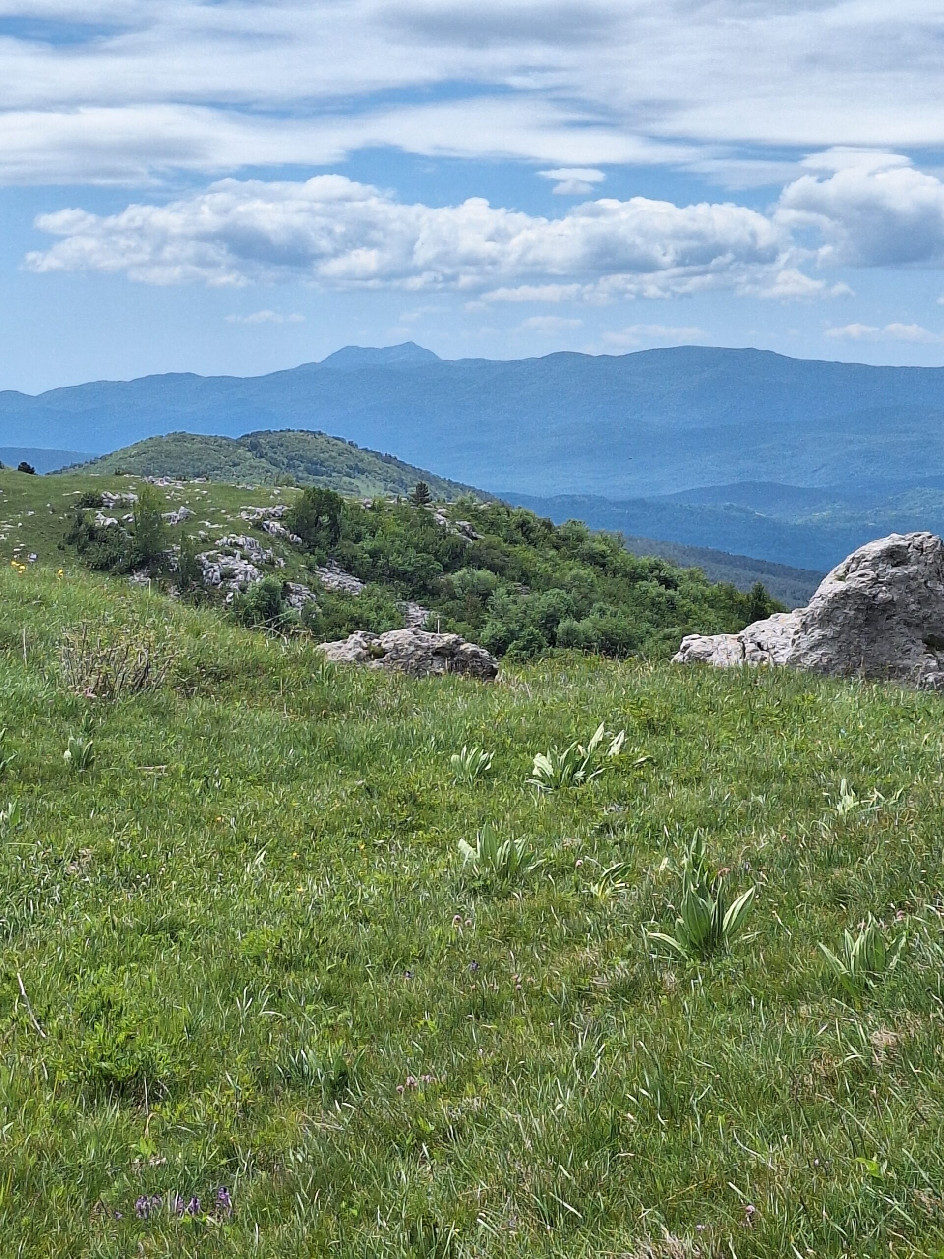 Tekaški tabor za mlade od 10.-19. leta